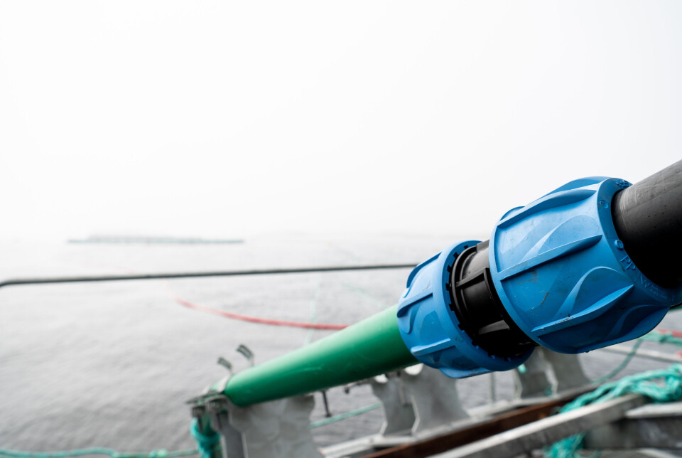 Levert: Vannfôring til Bjørøya