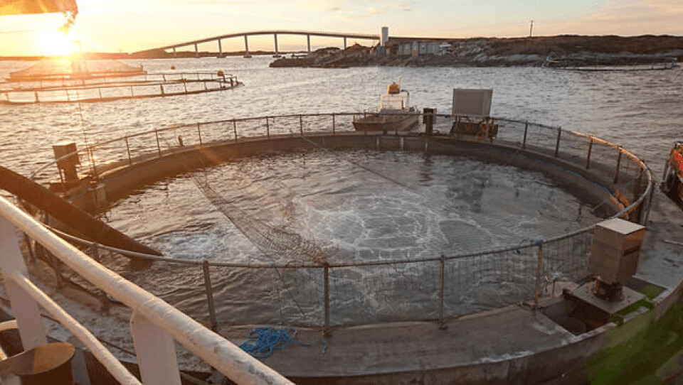 Salmon Home no1. Foto: Nekton Havbruk.