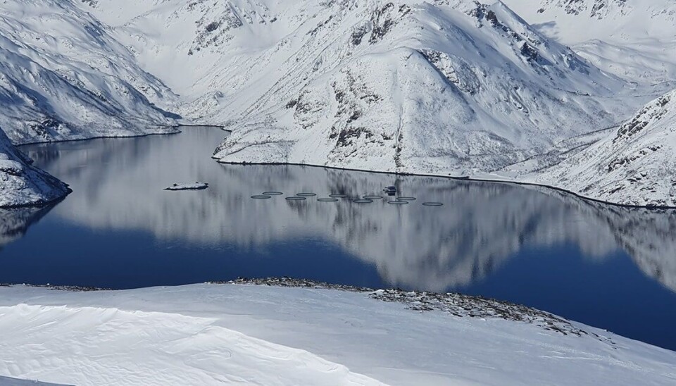 Cermaqs lokalitet Olderfjord.