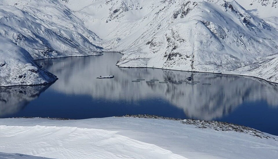 Det er mistanke om ILA ved Cermaqs lokalitet Olderfjord.