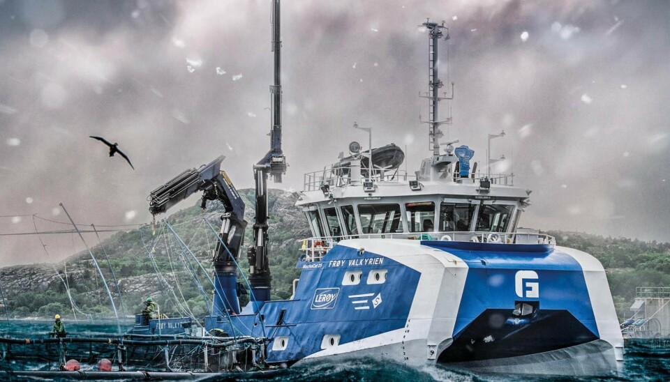 Frøy Valkyrien.