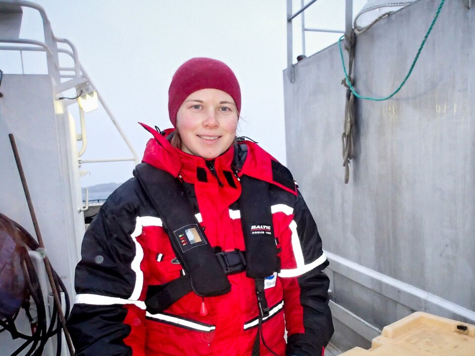 Forsker Kari Olli Helgesen fra Veterinærinstituttet her ute i båt. Foto: Peter Mallinson. Forsker Kari Olli Helgesen fra Veterinærinstituttet her ute i båt. Foto: Peter Mallinson.