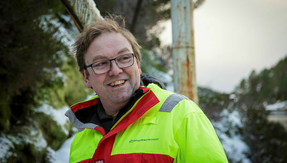 Klar for å gå ut i felt igjen: HI-forskar Ørjan Karlsen.