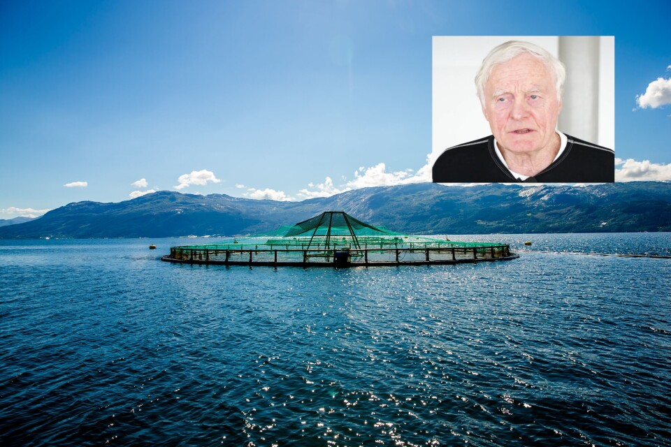 Rolv Haugarvoll i Lingalaks sier at selskapet vil kanskje måtte gå på børs eller selges, men han håper det skal være mulig å finne en mellomløsning. Foto: Lingalaks