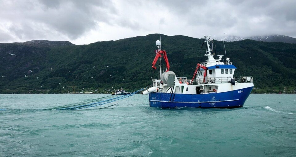Forskere fra Havforskingsinstituttet slår lakselusalarm for villfisken.