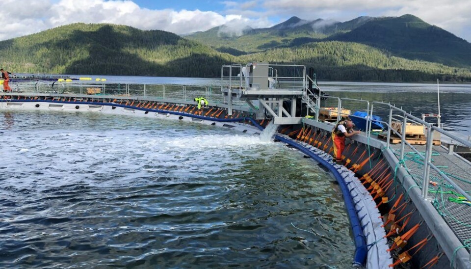 Her monteres det semi-lukkede systemet på Cermaq sin lokalitet på Vancouver Island.