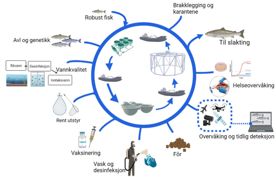 Figur 2 God biosikkerhet, og gjennomtenkt og godt planlagt transportlogistikk gjennom hele verdikjeden kan bli alfa og omega for å lykkes med Havbruk til Havs. Figur 2 God biosikkerhet, og gjennomtenkt og godt planlagt transportlogistikk gjennom hele verdikjeden kan bli alfa og omega for å lykkes med Havbruk til Havs.