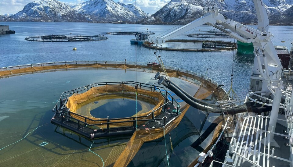 Utsett av fisk i iFarm i Vesterålen.