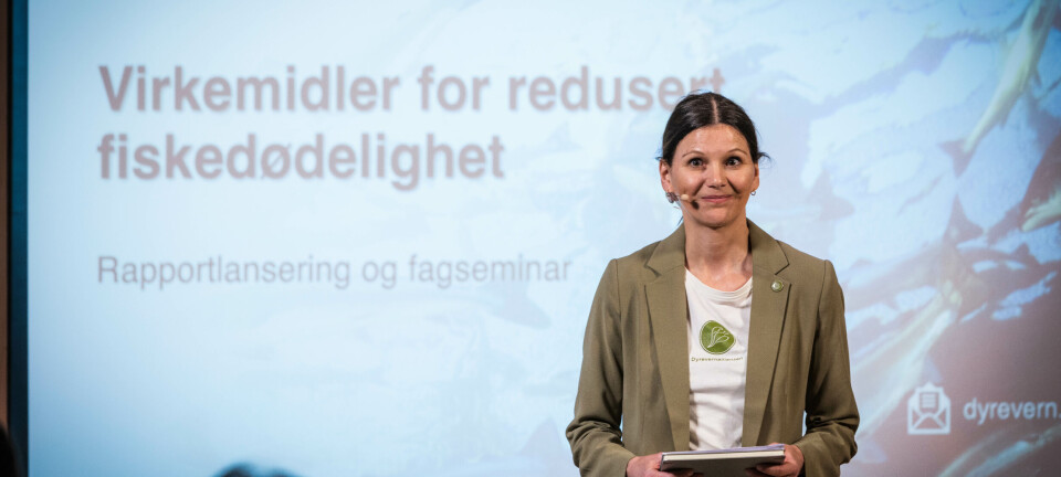 Kommunikasjonsleder Live Kleveland mener myndighetene må ta mer ansvar for fiskedødeligheten i oppdrettsbransjen.