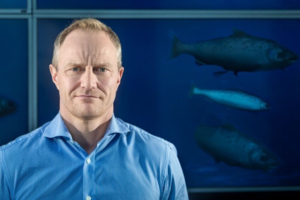 Geir Wenberg, styreleder i Wenberg Fiskeoppdrett, oppfordrer alle som har investert i landbasert oppdrett til å trekke seg ut. Foto: Daniel Hind