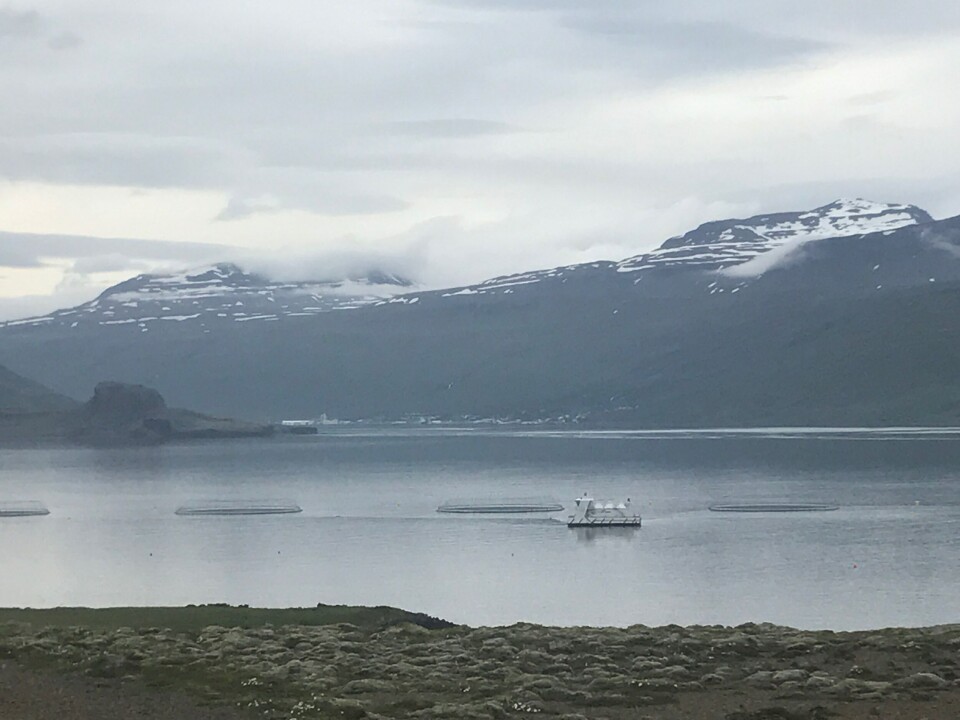 Lokaliteten Gripaldi Laxar. Foto: Måsøval.