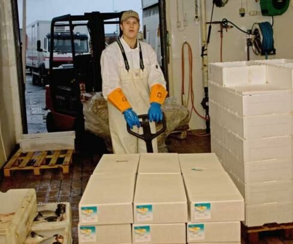 Vega Sjøfarm, Thommy Trondsen, Frys, eksport, frysekasse
