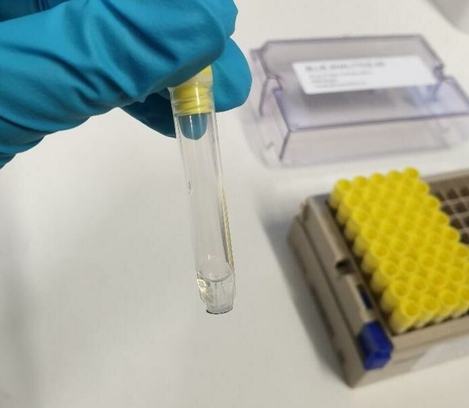 Sporbarhet AS baserer sin sporing på genetiske analyser av laksen.