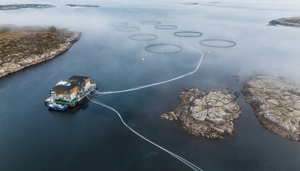 Illustrasjonsbilde: en av Salmar sine lokaliteter. Illustrasjonsbilde: en av Salmar sine lokaliteter.