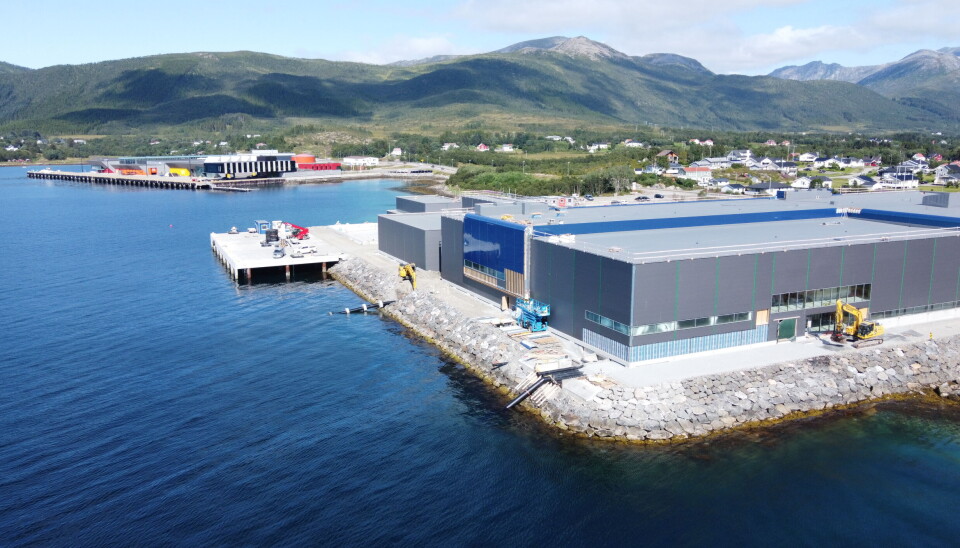 Fra slakteriet som bygges på Holmen i Vesterålen.
