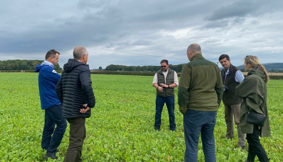 Bonden Alan Petch (i midten) forklarer hva regenerativt landbruk betyr i praksis for en gruppe som besøkte gården hans i Storbritannia i fjor høst. Han var en av åtte som deltok i pilotprosjektet i fjor.