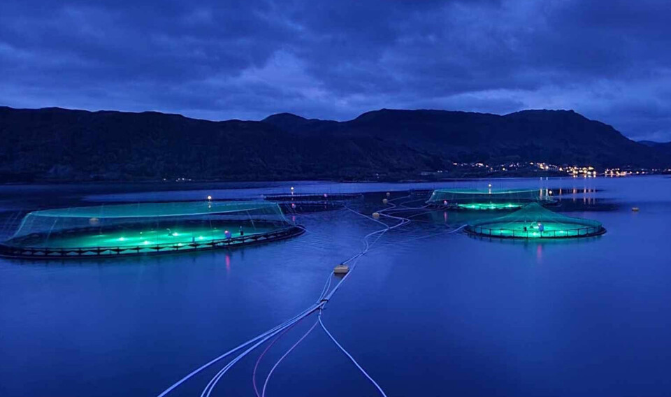 Statt Torsk inngått avtale med Bio Marine om leie av undervannslys. Bildet viser lokaliteten Stokkeneset i Stad kommune har. Statt Torsk inngått avtale med Bio Marine om leie av undervannslys. Bildet viser lokaliteten Stokkeneset i Stad kommune har.