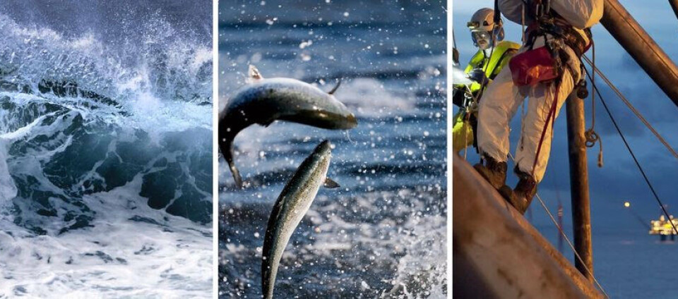 Utror skriver at de gleder seg over at Nordland Senterparti går foran med et offensivt og viktig vedtak om innføring av en nøytral grunnrenteskatt på havbruk til havs fra 2024.