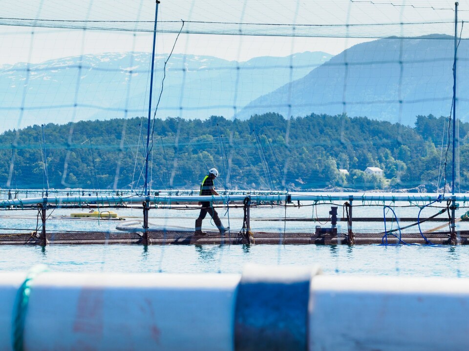 Lerøy må gå tilbake på anslagene over hvor mye laks de kan slakte fremover .