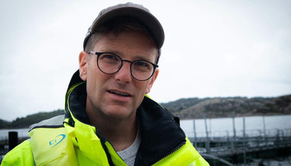 Engesund går tilbake til røttene