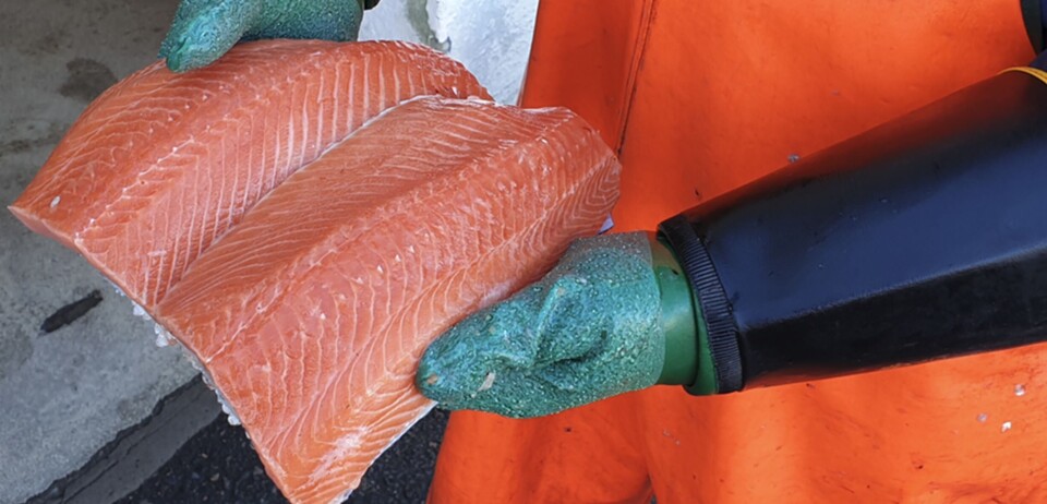 Holder det med en god pigmentstrategi i sjøfasen eller, kan det være fordelaktig å benytte pigment fra liten fiskestørrelse i settefiskfasen fram til utsett?