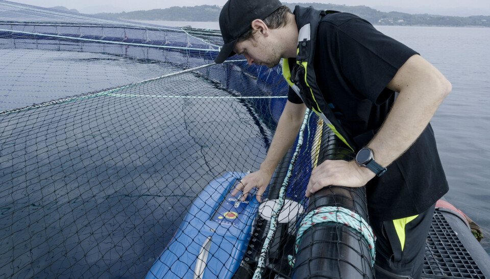 Etter flere års samarbeid med Mowi er Aqua Robotics klar for offentlig lansering