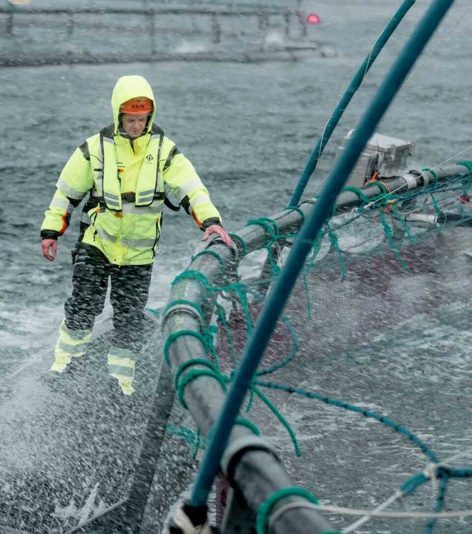 Effektene av grunnrenteskatten merkes i Måsøval-konsernet.