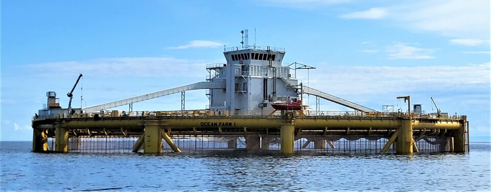 Ocean Farm 1.