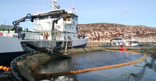 Brønnbåt-selskaper slipper straff for dumping av lusemidler