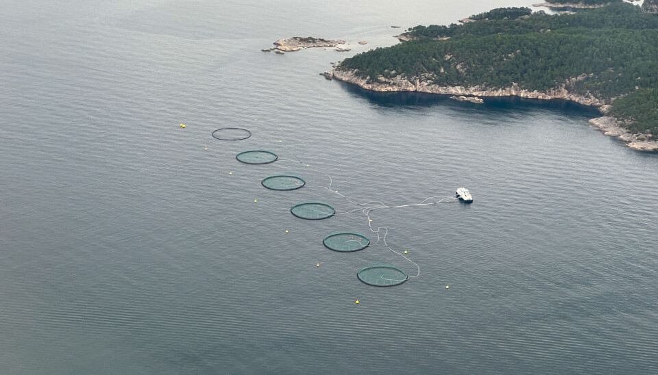 Flyfoto av merd på Vestlandet.