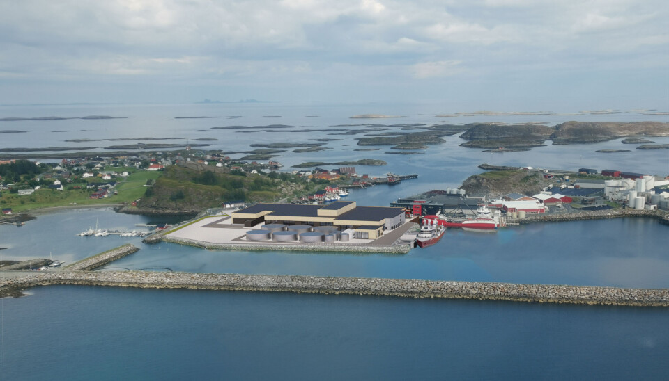 Slik vil det nye slakteriet til Nova Sea se ut.