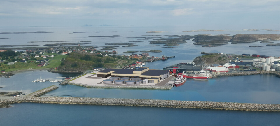 Nova Sea bygger nytt slakteri likevel