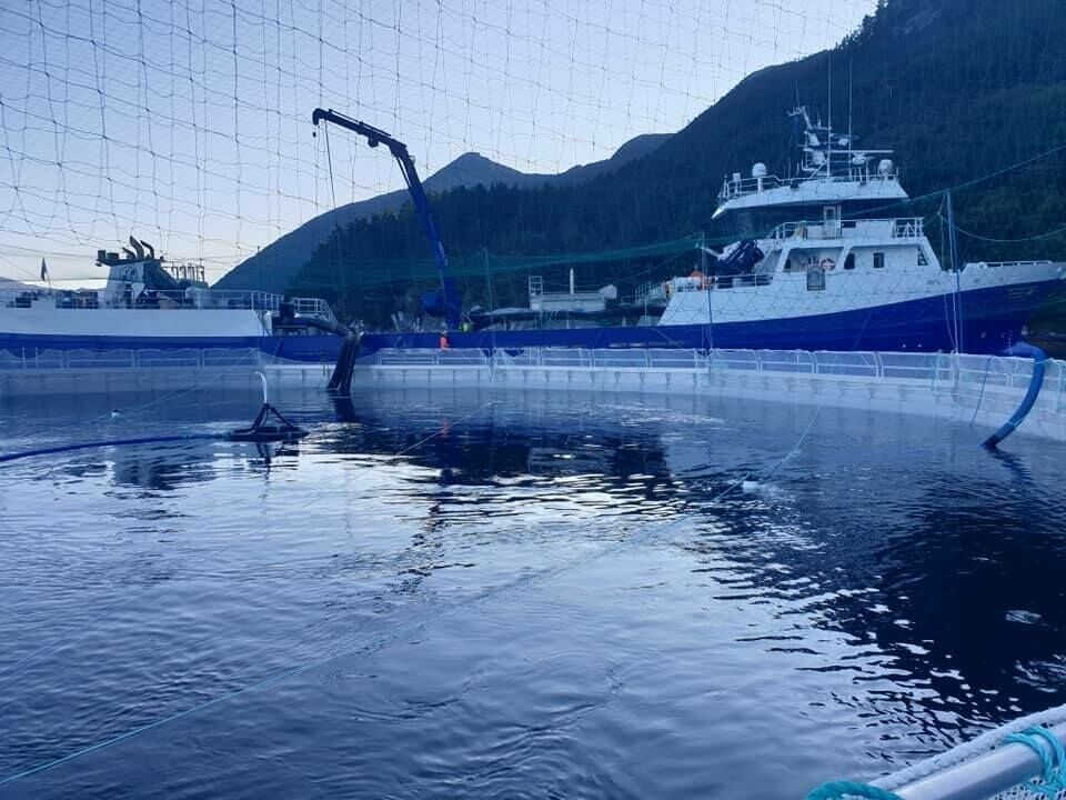 Osland Havbruk skal nå ta i bruk lukkede merder. Foto: Osland Havbruk