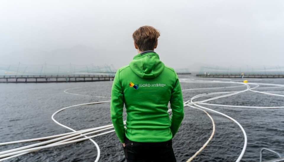 Illustrasjonsbilde: Fjord Maritime