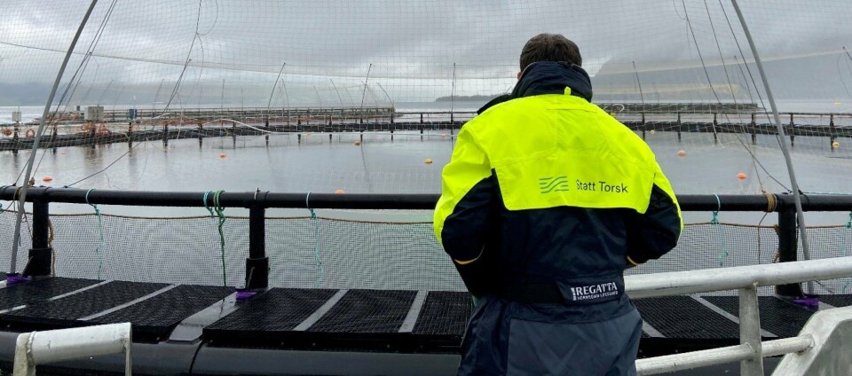 Prøvetaking av torsk på Statt Torsk sin lokalitet Stokkeneset.