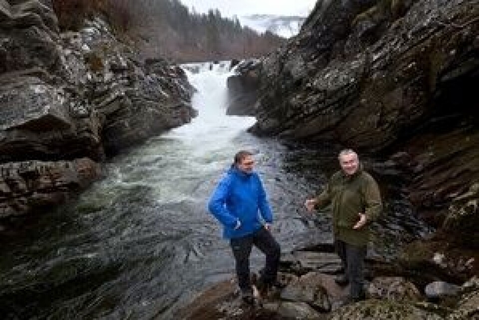 - Det er nærmest ingen innslag av oppdrettslaks i Nausta, og vi har oppdrettsvirksomhet i fjorden utenfor, sier Eiliv Erdal, elveeier i Nausta (til høyre). Oppdrettsnæringen har etter min mening fått et noe urettferdig rykte på seg, på tross av at lakselus og rømming er en utfordring i noen områder.