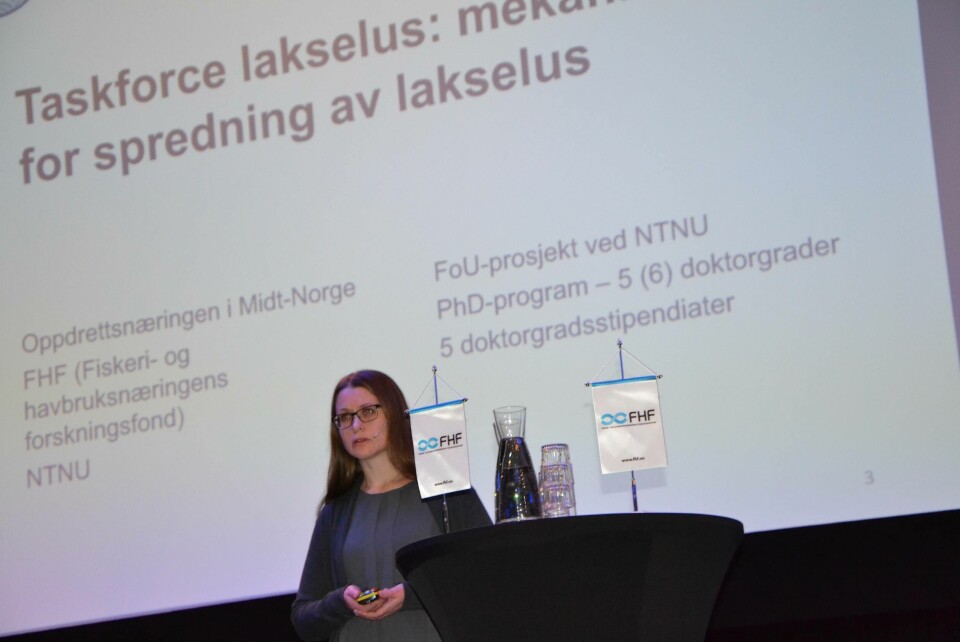Anna Båtnes fra NTNU. Foto: Linn Therese Skår Hosteland