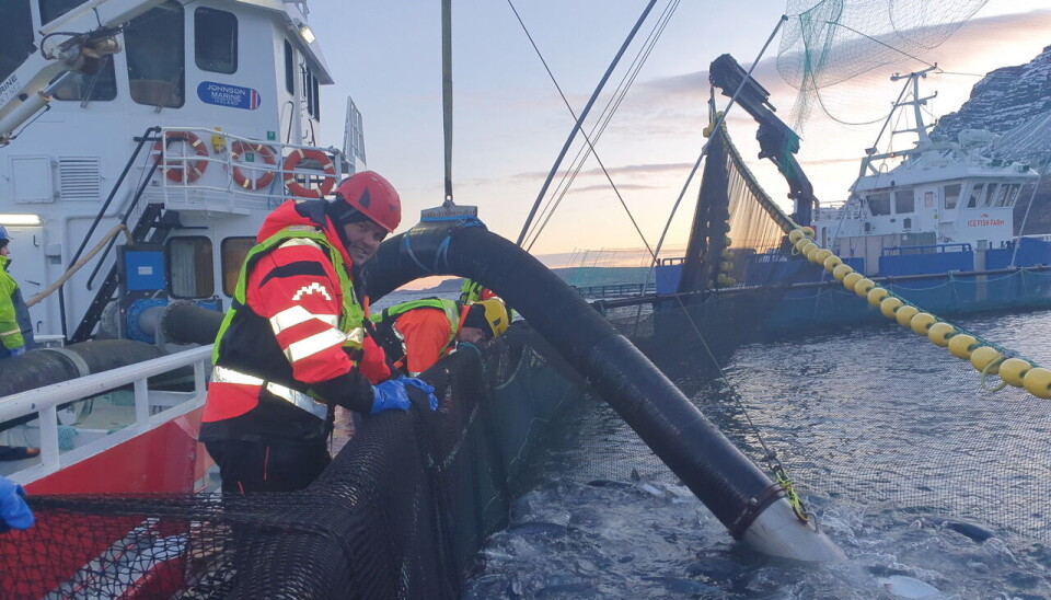 Island har svært få store dype fjordsystemer og forholdene er noe forskjellige fra i Norge. Norsk teknologi spiller en stor Islands fremtid innen oppdrett.