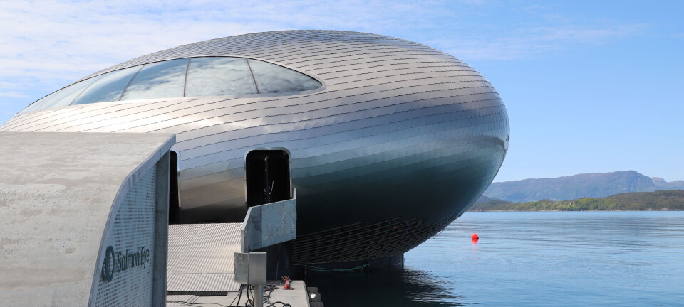 - «Salmon Eye» har gått over all forventning