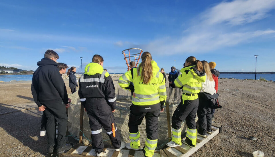 Kystmuseet stod for en av aktivitetene utendørs som var å bygge en åttekantet merd som ble brukt før i tiden. Kystmuseet stod for en av aktivitetene utendørs som var å bygge en åttekantet merd som ble brukt før i tiden.
