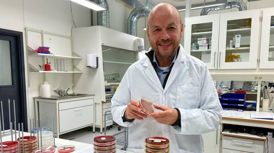 Duncan Colquhoun er seniorforsker ved Veterinærinstituttet og prosjektleder for prosjektet Pasteurellose hos norsk laks. Duncan Colquhoun er seniorforsker ved Veterinærinstituttet og prosjektleder for prosjektet Pasteurellose hos norsk laks.