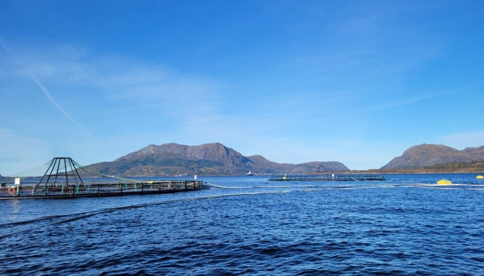 Det var her på lokalitet Svinøy hendelsen skjedde. Det var her på lokalitet Svinøy hendelsen skjedde.