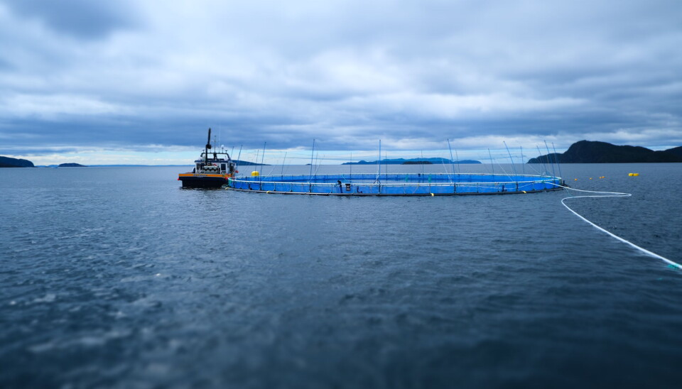 Grieg Seafood-lokalitet i Placentia Bay. Grieg Seafood-lokalitet i Placentia Bay.