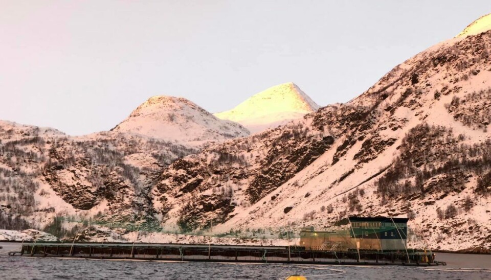 Illustrasjonsbilde av Cermaq-lokaliteten Storholmen i Alta kommune.