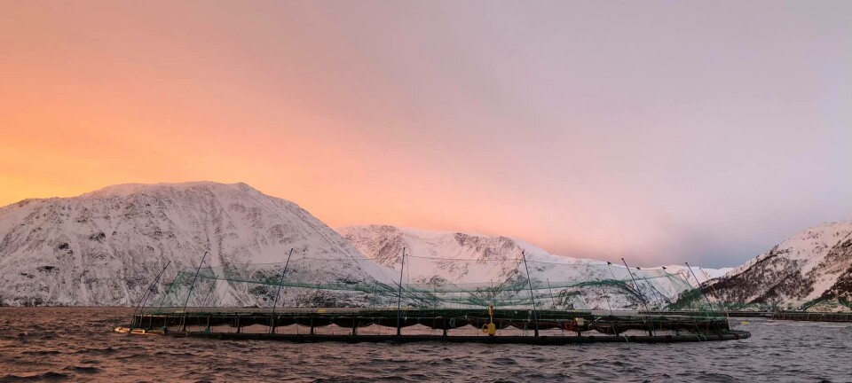 Pumpe-uhell ved Cermaq-lokalitet