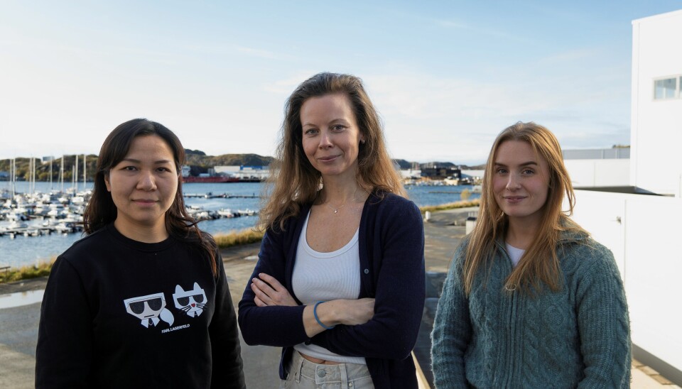 Kvalitetsavdelingen på Salten Salmon teller nå tre dedikerte personer. Fra venstre: kvalitetsassistent Bich Thuy Nguyen, kvalitetsleder Katrine Enger-Johnsen og kvalitetskoordinator Ingrid Hvassing. Kvalitetsavdelingen på Salten Salmon teller nå tre dedikerte personer. Fra venstre: kvalitetsassistent Bich Thuy Nguyen, kvalitetsleder Katrine Enger-Johnsen og kvalitetskoordinator Ingrid Hvassing.