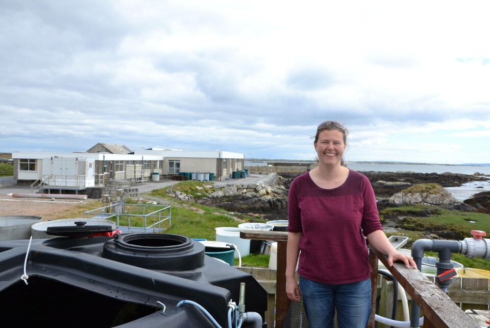 Majbritt Bolton-Warberg er seniorforsker og prosjektleder for rognkjeksprogrammet ved Carna Research Station (CRS). Foto: Linn Therese Skår Hosteland.