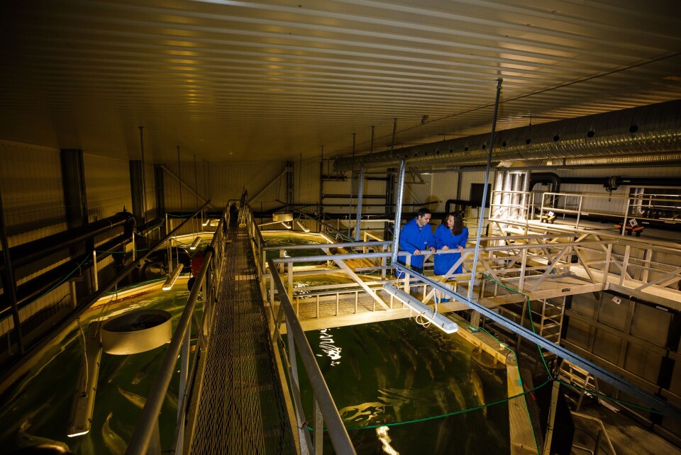 Nofima satser mer på RAS-teknologi. Her fra lokalene deres på Sunndalsøra. Foto: Nofima