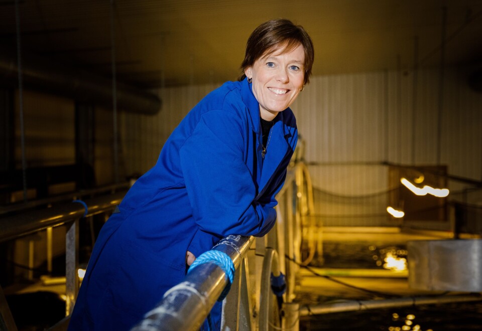 NYTTIG: Seniorforsker ved Nofima, Åsa Maria Espmark, karakteriserer Sharadas avhandling og resultater som veldig viktig og direkte matnyttig for både forskningsmiljøet og bransjen. Foto: Terje Aamodt © Nofima NYTTIG: Seniorforsker ved Nofima, Åsa Maria Espmark, karakteriserer Sharadas avhandling og resultater som veldig viktig og direkte matnyttig for både forskningsmiljøet og bransjen. Foto: Terje Aamodt © Nofima