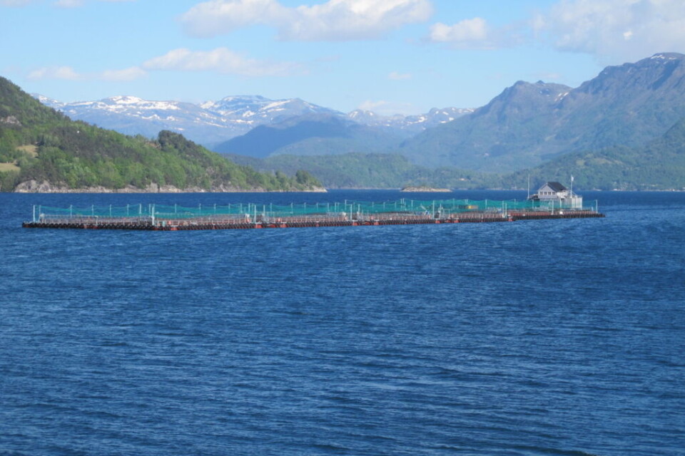 Det er på lokaliteten Seglberget i Kvinnherad kommune Mattilsynet nå har blitt opplyst om ILA-påvisning. Foto: Alsaker Fjordbruk.